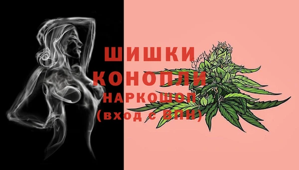 экстази Краснослободск